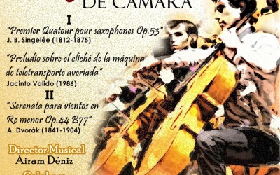 Concierto Gran Canaria Sinfonietta