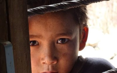 Una mirada que nos une