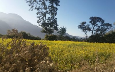 De vuelta en Nepal
